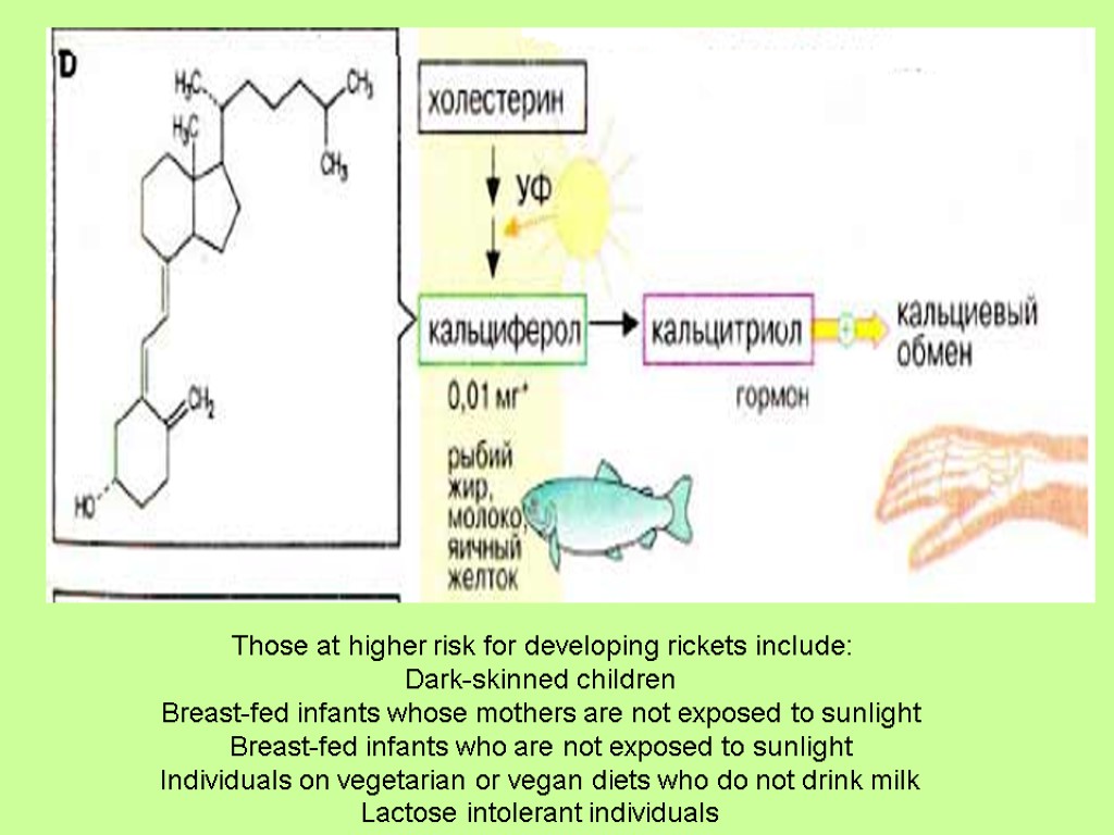 Those at higher risk for developing rickets include: Dark-skinned children Breast-fed infants whose mothers